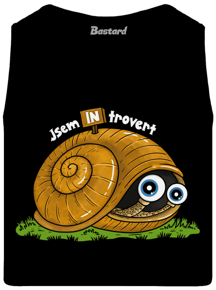 Jsem introvert