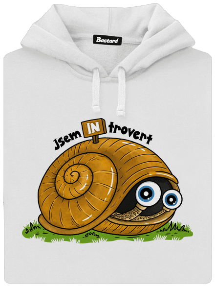 Jsem introvert