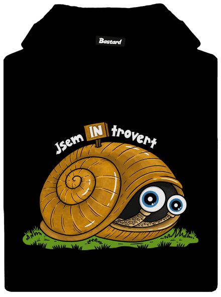 Jsem introvert