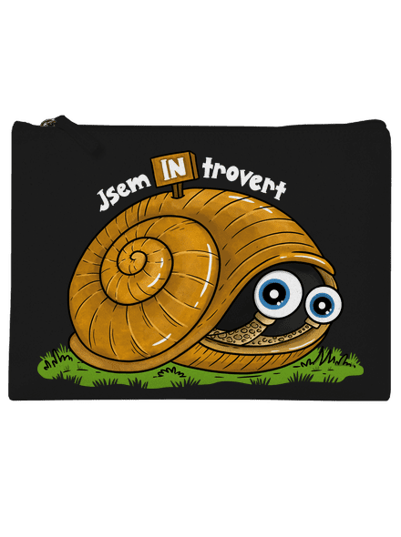 Jsem introvert