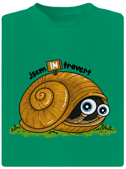 Jsem introvert
