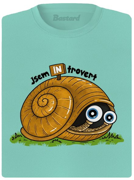 Jsem introvert