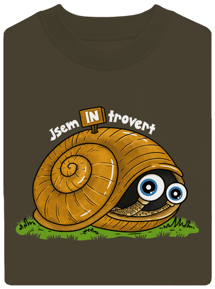 Jsem introvert