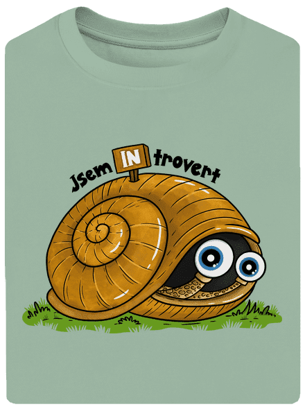 Jsem introvert