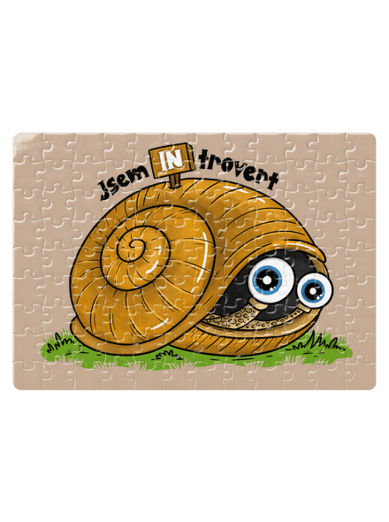 Jsem introvert