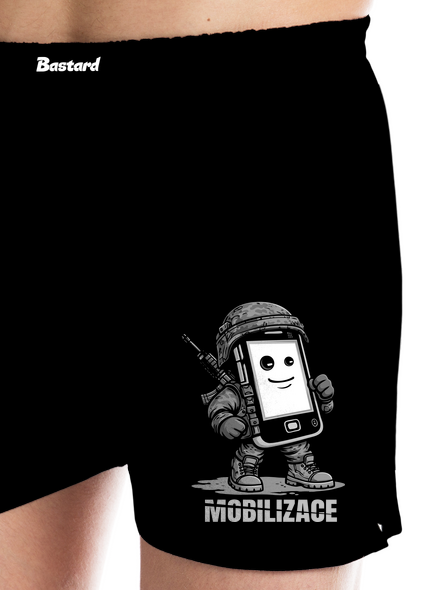 Mobilizace