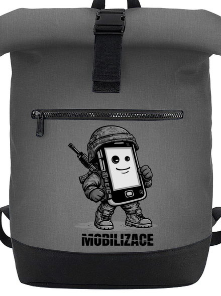 Mobilizace