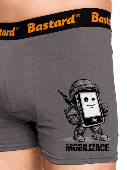 Mobilizace