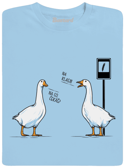 Husy na zastávce