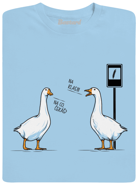 Husy na zastávce