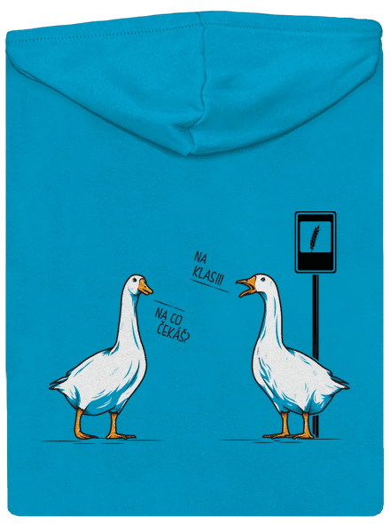 Husy na zastávce