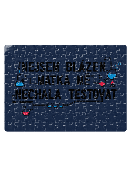 Nejsem blázen