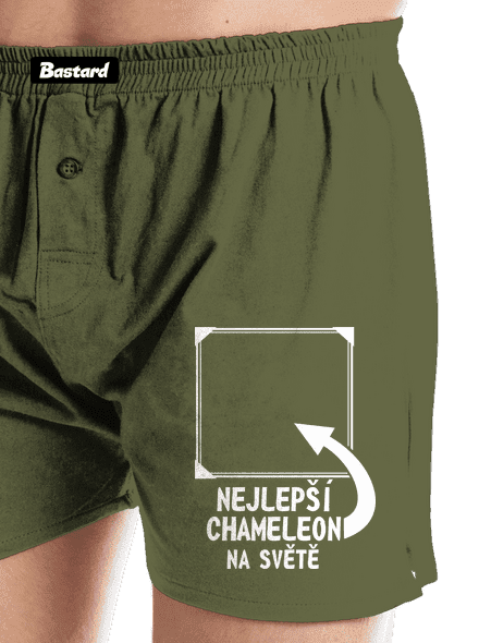 Nejlepší chameleon