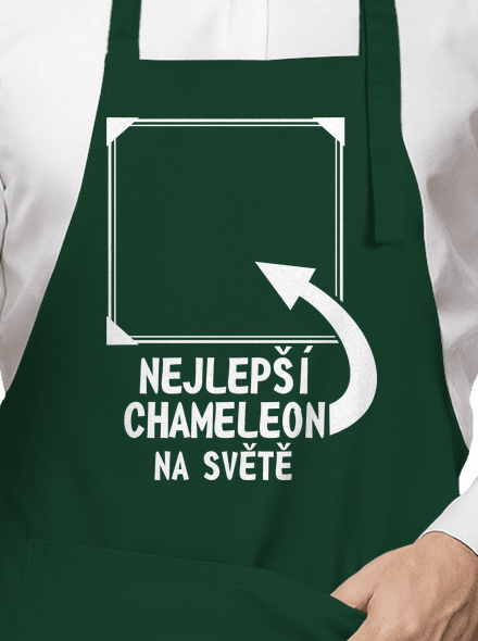 Nejlepší chameleon