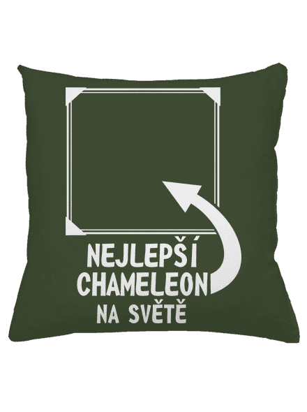 Nejlepší chameleon
