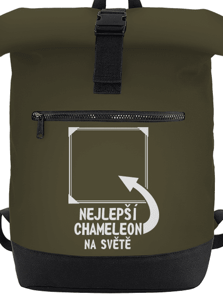 Nejlepší chameleon