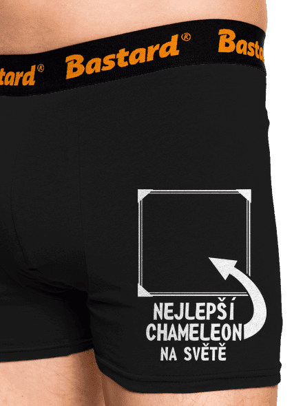 Nejlepší chameleon