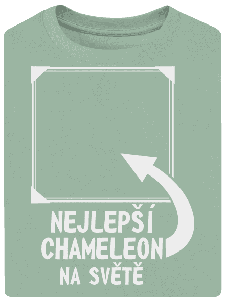 Nejlepší chameleon