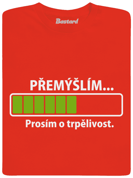 Přemýšlím