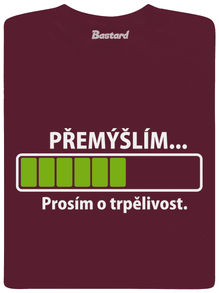 Přemýšlím