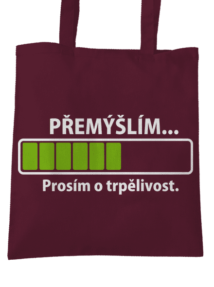 Přemýšlím