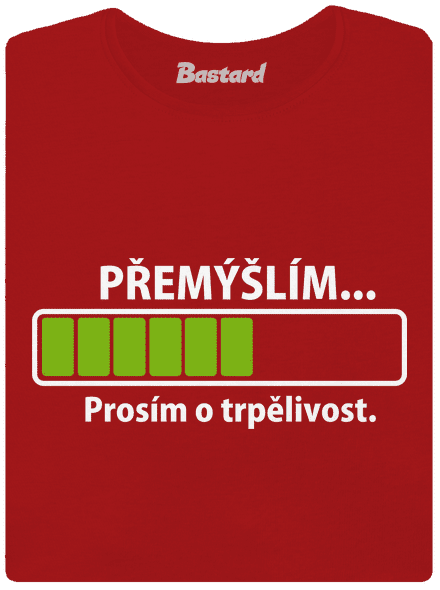 Přemýšlím