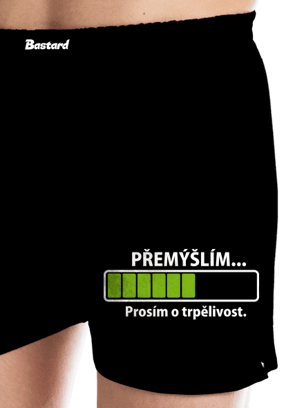 Přemýšlím