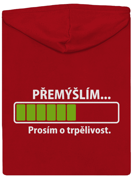 Přemýšlím