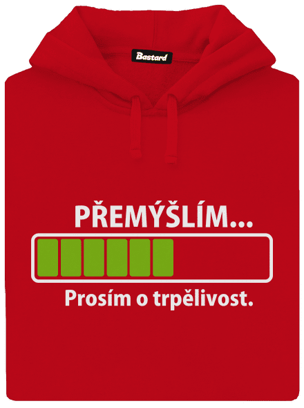 Přemýšlím