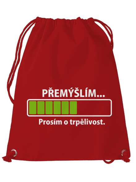 Přemýšlím