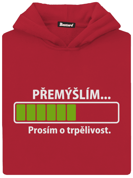 Přemýšlím