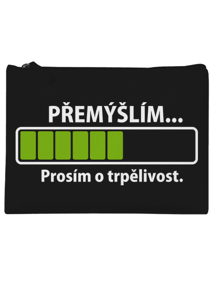 Přemýšlím