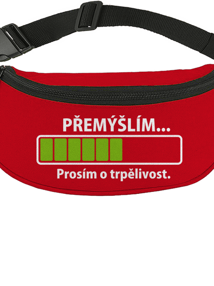 Přemýšlím