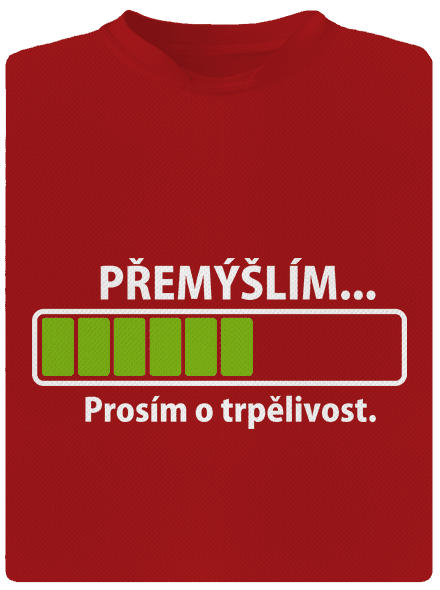 Přemýšlím