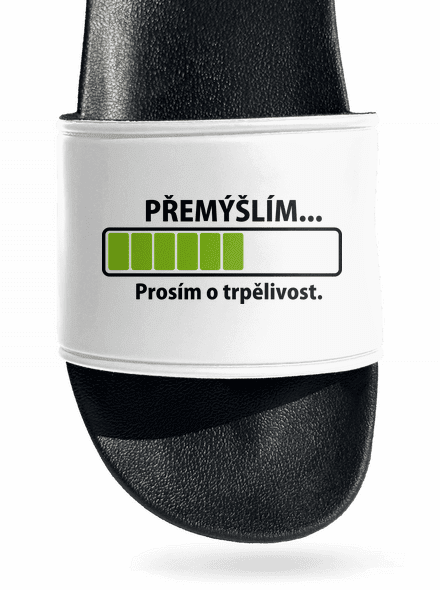 Přemýšlím