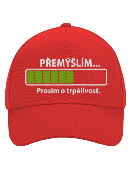 Přemýšlím