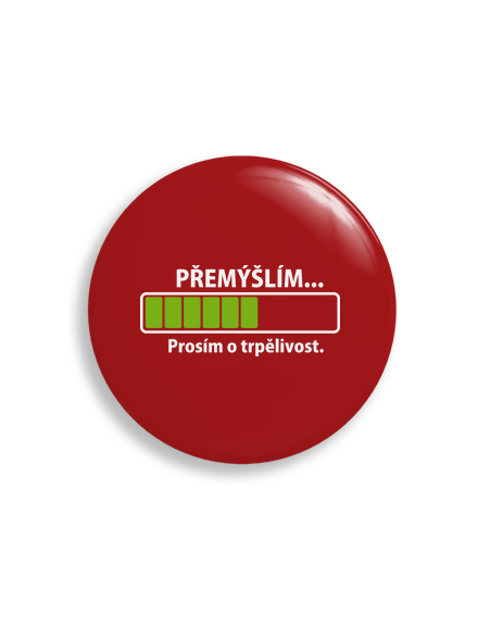 Přemýšlím