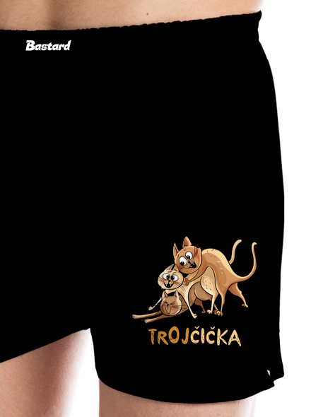 Trojčička