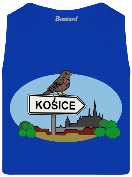 Kosice