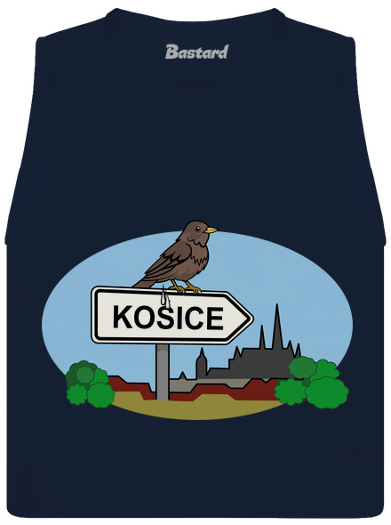Kosice