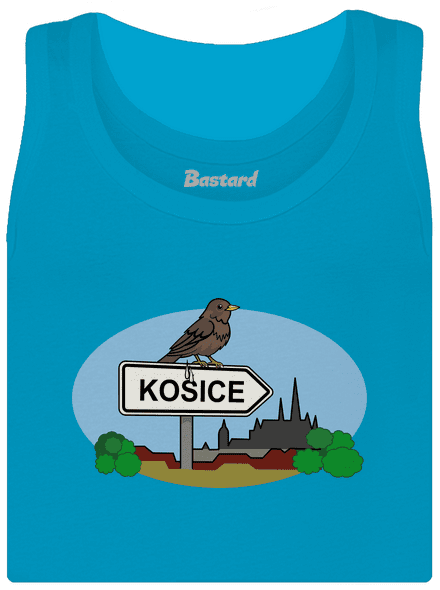 Kosice