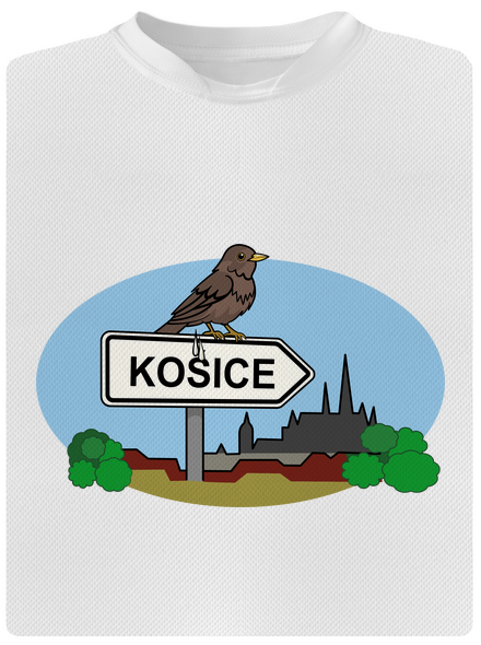 Kosice