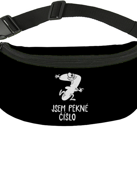 Jsem pěkné číslo