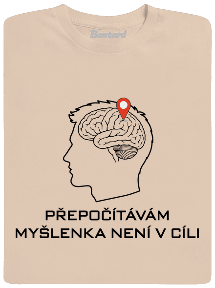 Přepočítávám