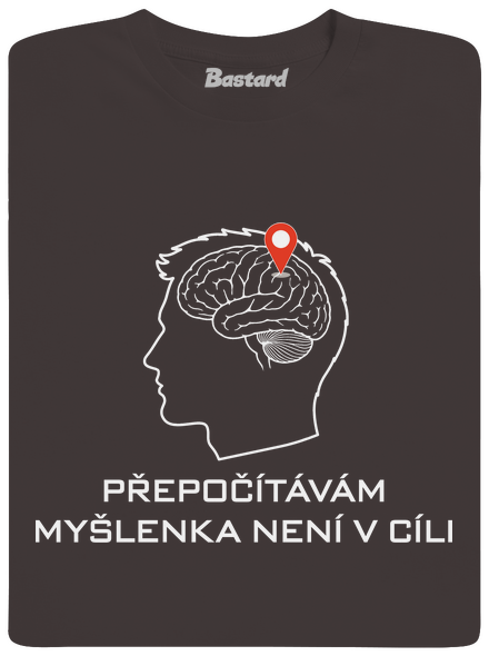 Přepočítávám