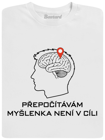 Přepočítávám