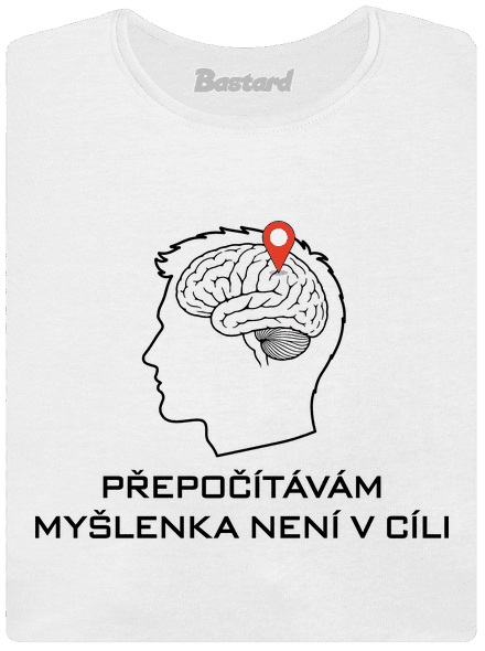 Přepočítávám