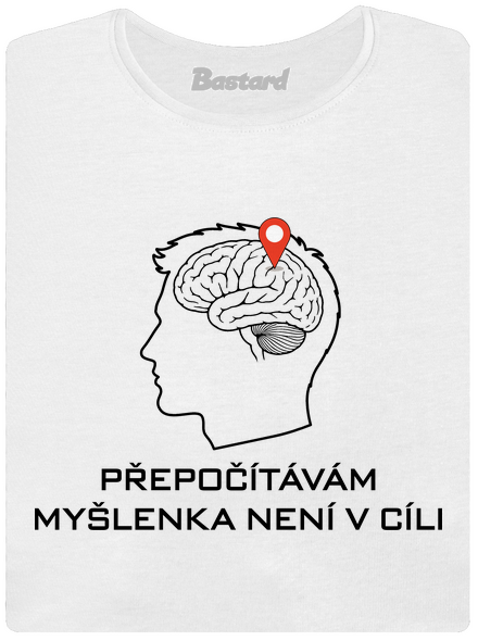 Přepočítávám