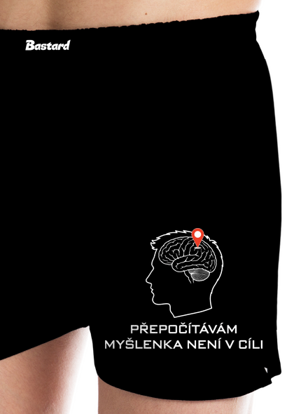 Přepočítávám