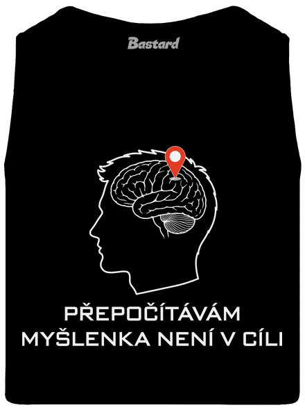 Přepočítávám